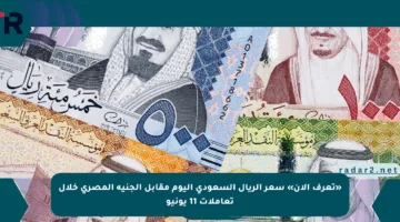 «تعرف الآن» سعر الريال السعودي اليوم مقابل الجنيه المصري خلال تعاملات 11 يونيو